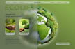 customize any type of  websites