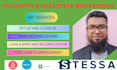 virtual accountant on quickbooks, xero, a2x, wave, excel