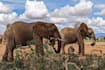lend a hand with anything in kenya