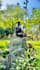 teach private class pranayama