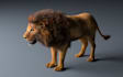 create realistic or stylized 3d animal models for games and cgi