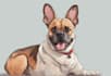 design a custom disney pet portrait
