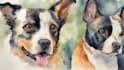 draw watercolor pet portrait