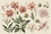 draw botanical illustration art for you