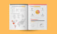design professional PDF lead magnet, brochure, ebook report