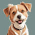 draw illustration pet portrait vector art