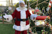 record a personalized video message from santa claus