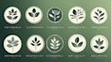 design modern botanical boho logo design