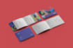 design a professional pitch deck and powerpoint presentation