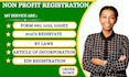 do 501c3 non profit registration, bylaw, coi, reinstate 501c3, 1023ez, form 990