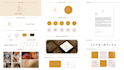 create a professional brand identity and brand guidelines