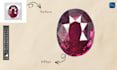 provide expert clipping path services for images