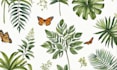 draw animal and botanical illustration