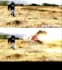 vfx composting, 3d cgi, vfx composite, vfx rotoscoping, vfx green screen remove