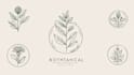 design a custom feminine, and botanical boho logo design