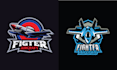 design creative mascot aviation logo
