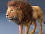 create 3d cgi animal model, rigging and animation, cgi vfx
