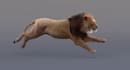 do 3d animal animation, 3d animal model, 3d animal character design, 3d models