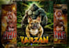 design premium dog stud, breeding, litter or kennel flyers
