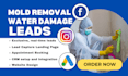 mold remediation mold removal water damage leads google ads mold removal leads