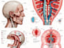 draw detailed medical and scientific illustrations