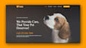 design pet care website pet grooming website dog walking website pets website