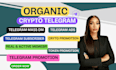 promote crypto telegram, token promotion, telegram ads, telegram subscribers