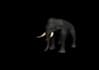 design 2d,3d game environments, assets