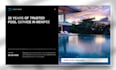 design a professional roofing, construction, pool service, landscaping website