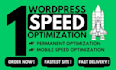 do wordpress speed optimization for google page speed insights