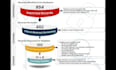 write precise medical and pharmaceutical systematic review and meta analysis
