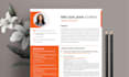 create professional resume design, writing, and update your CV