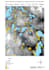 provide professional gis mapping, arcgis spatial analysis
