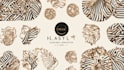 design luxury fashion logo