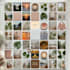 create a digital aesthetic vision board to help you achieve your goals