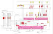 do electrical estimation and materials takeoff