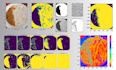 build computer vision models for object detection and image processing