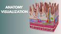 do 3d medical animation