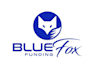 design excellent fox logo