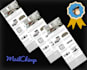 do a professional and editable mailchimp template