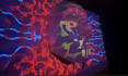 create immersive projection mapping or dome content creation