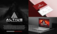 create a professional logo design with a brand identity pack