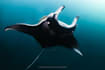 edit underwater videos and photos