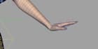 be your 3d rigger, weight paint rig, rokoko rigging, iclone, wd rig, animate 3d