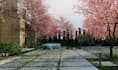 design your 3d landscape, garden and backyards