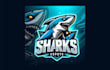 create your unique sharks mascot logo within two days