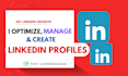 offer successful linkedin profile optimization