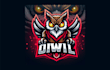 design a creative owl mascot logo with express delivery