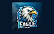 design a unique eagle head mascot logo with free source file