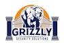 design excellent bear logo